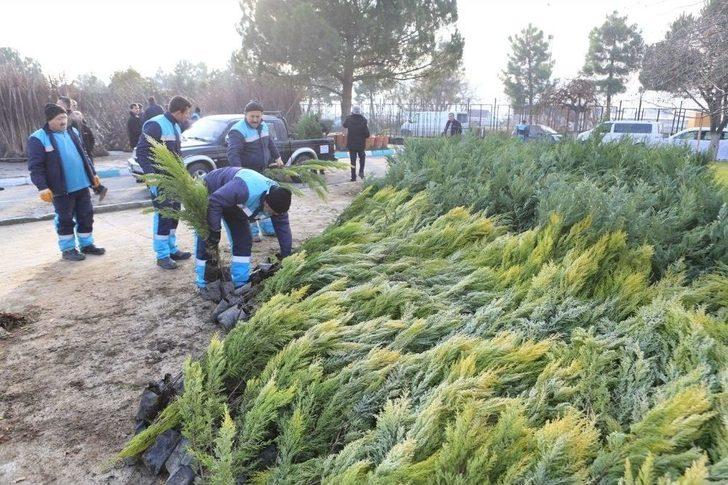 Ücretsiz Fidana Vatandaştan Büyük İlgi G5