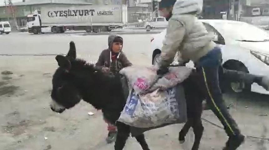 Ağrı’da Eşeğe Binemeyen Çocukların Komik Anları
