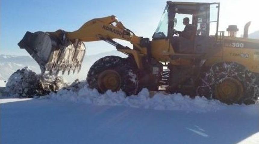 Hakkari&rsquo;de Karla M&uuml;cadele &Ccedil;alışması
