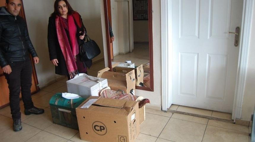 Horoz Dövüştürenlere Operasyon: 3 Gözaltı