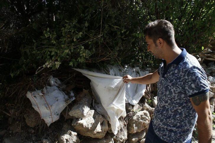 Aynı Yerde İki Haftada İkinci Vahşet G1