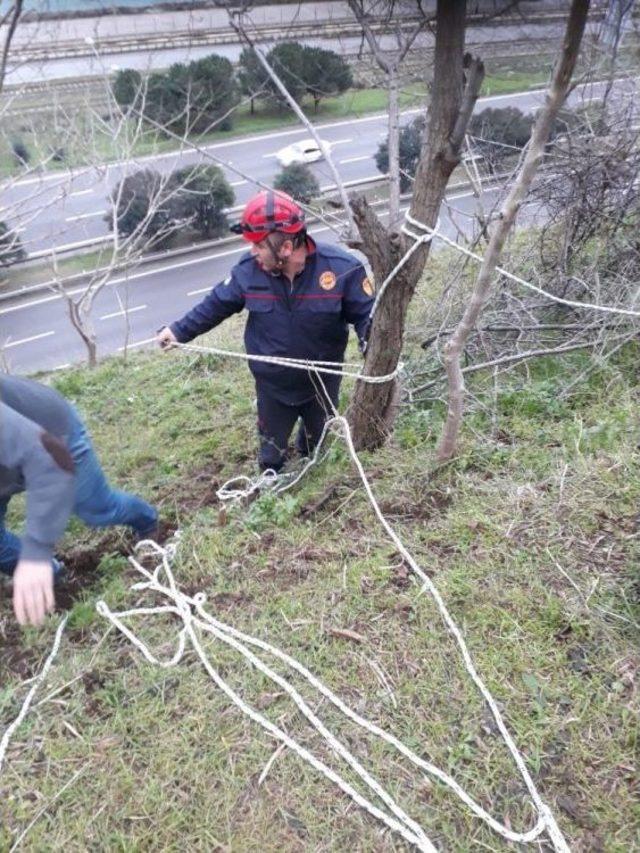 İtfaiyeden Keçi Kurtarma Operasyonu