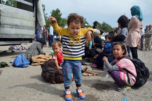 Göçmen Çocuklar Her Şeyden Habersiz Parkta Oynadı