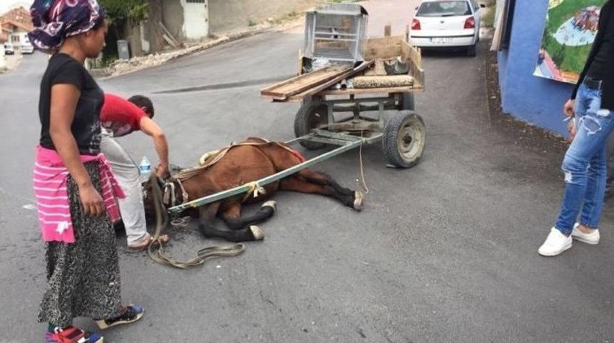 Halk Dolmuşu At Arabasına &Ccedil;arptı