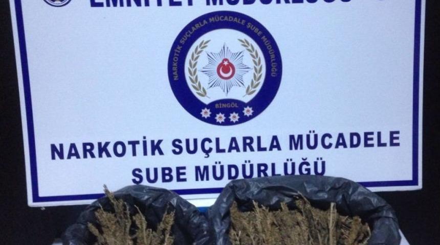 Bingöl’de 59 Kilogram Esrar Ele Geçirildi, 5 Şüpheli Tutuklandı