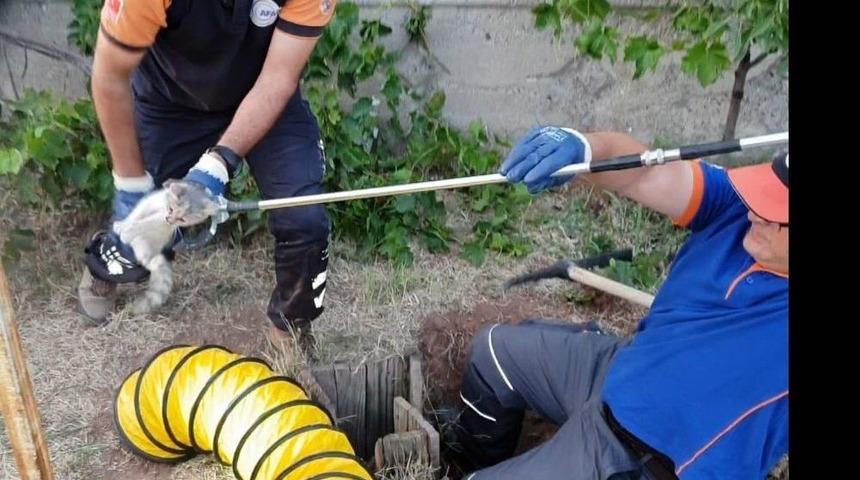 Kuyuda Mahsur Kalan Kedi Afad Ekiplerince Kurtarıldı