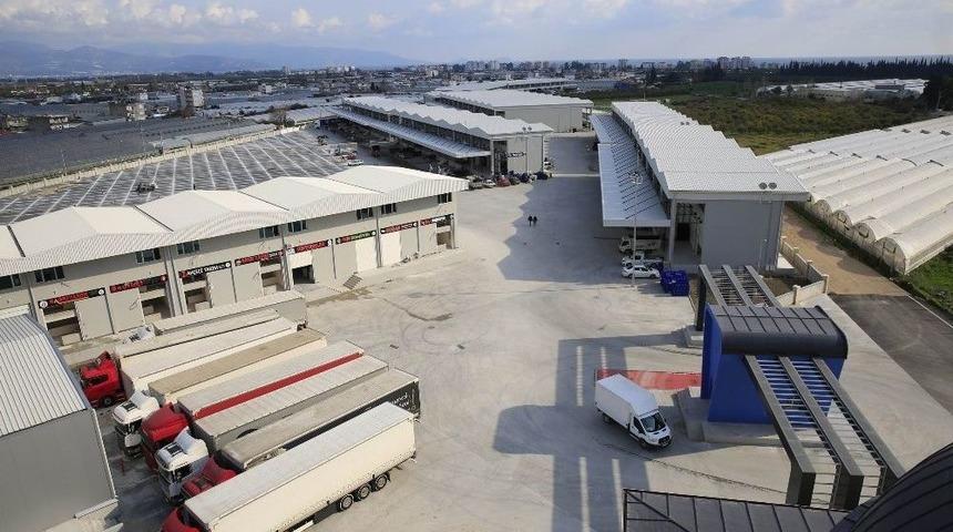 Antalya Toptancı Hali Rekora Doymuyor