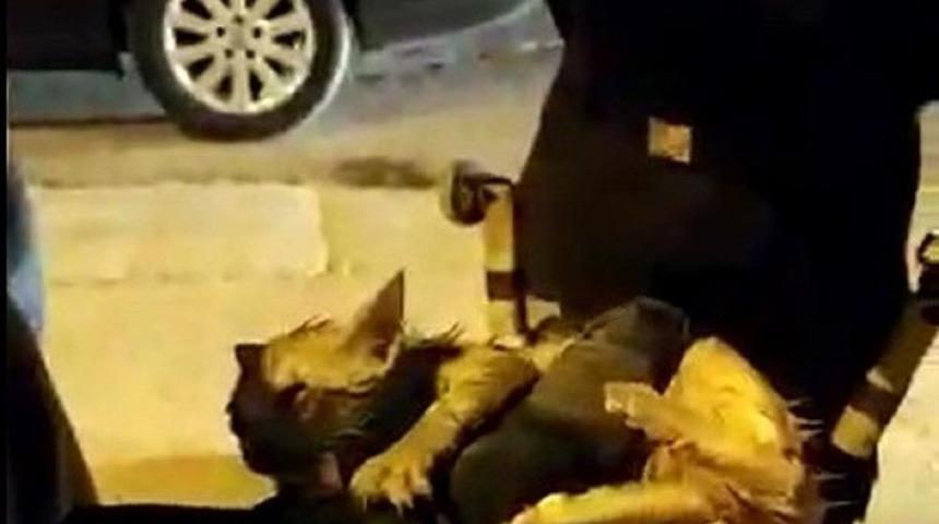 Sürücü Fark Etti İtfaiye Kurtardı