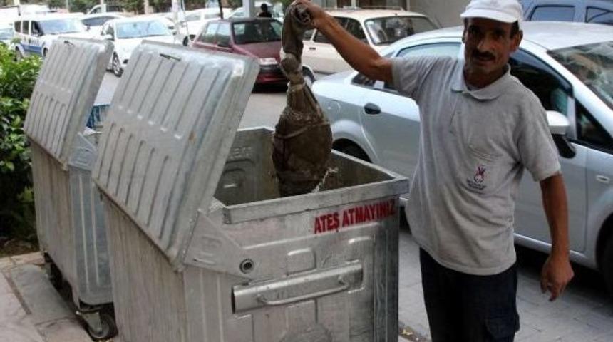 Bebek Cesedi Sanıldı, Kedi Ölüsü Çıktı