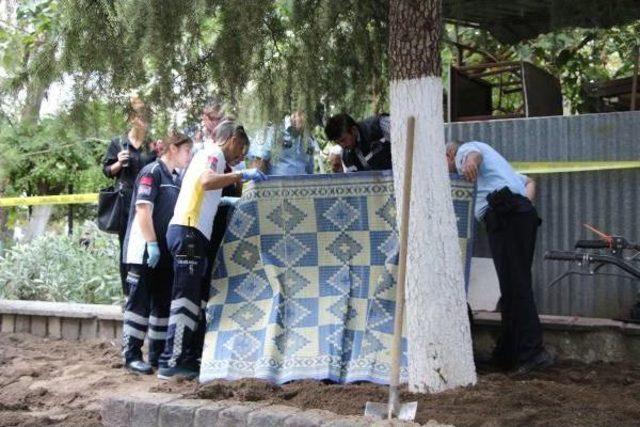 Bebek Cesedi Sanıldı, Kedi Ölüsü Çıktı