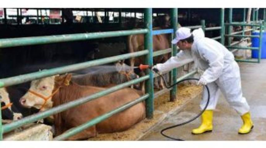 Kırklareli&rsquo;nde Kurban Satış Ve Kesim Yerleri Belirlendi