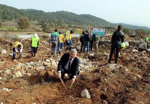 Organları İle De Hayat Kurtarıyorlar