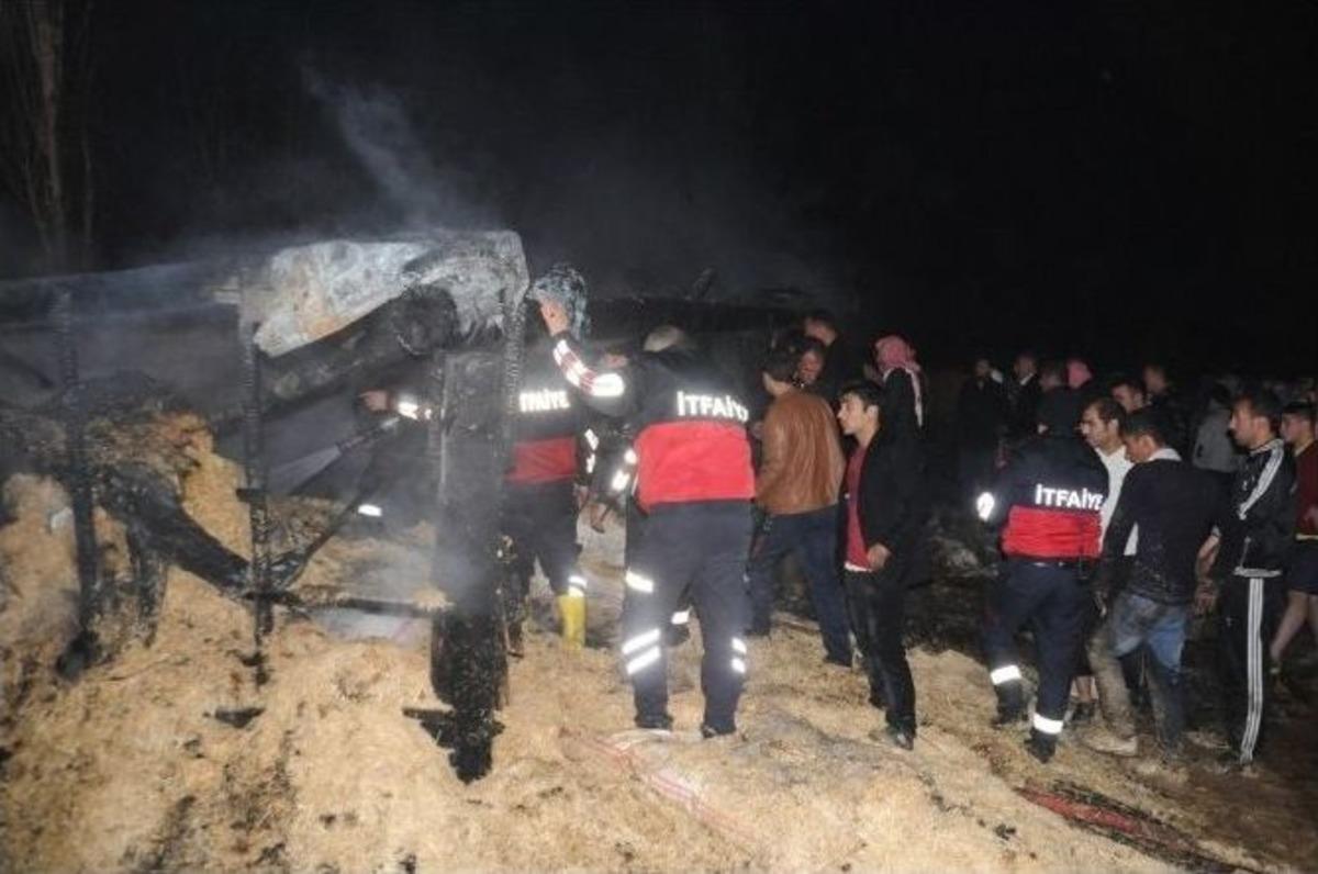 Cizre&rsquo;de Hayvan Barınağında Yangın &Ccedil;ıktı