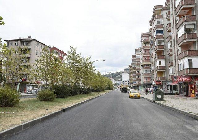 Tekkeköy Belediyesinden İlçe Girişine Estetik Dokunuş