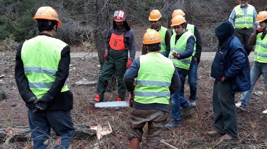 Ağa&ccedil; Kesme Kursu Sona Erdi