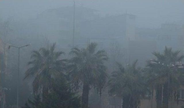 İzmit Körfezi'nde Yoğun Sis