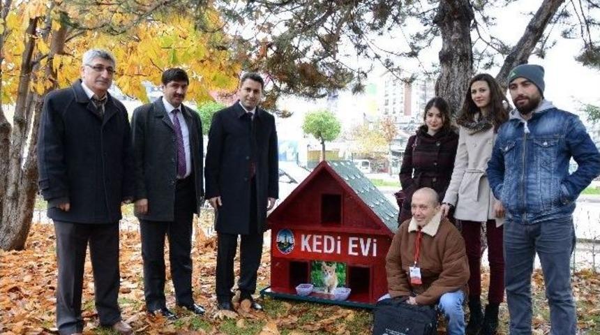 Tokat Belediyesi&rsquo;nden "kedi Evi" Projesi