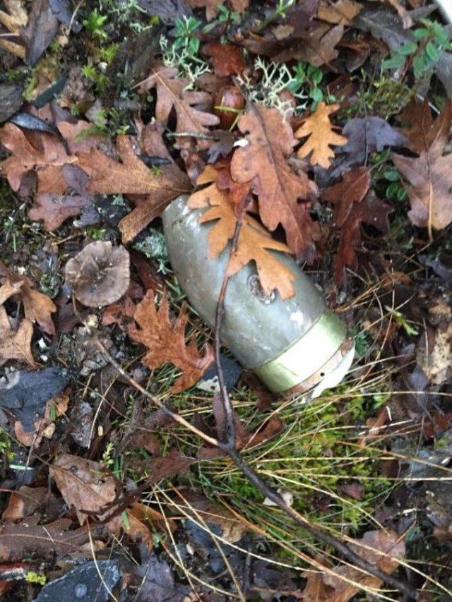 F-16 düştü, paraşütle atlayan pilot kurtuldu (4) 1