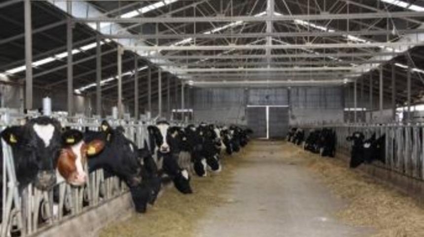 Kırşehir Besiciliği Gelişiyor