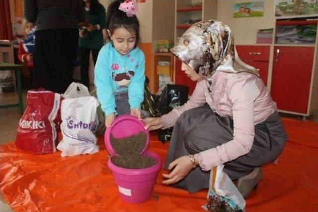 Bayburt &Uuml;niversitesi Gen&ccedil; Tema Kul&uuml;b&uuml; &Uuml;yeleri 75. Yıl Anaokulu Minikleriyle Birlikte Saksılara 230 Meşe Palamudu Ekti 1