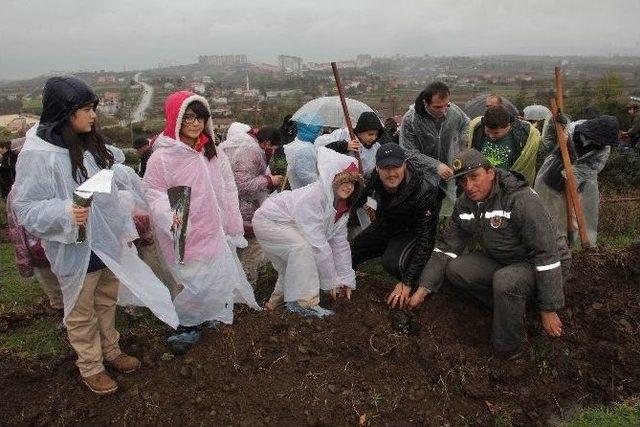 2 Bin Adet Badem Fidanı Dikildi 1