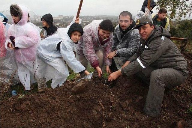 2 Bin Adet Badem Fidanı Dikildi 3