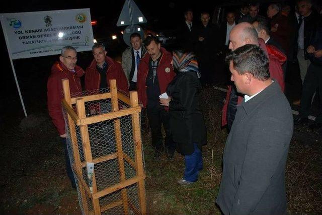 Karacabey, İşletme Ve Orman Depolarını İnceledi