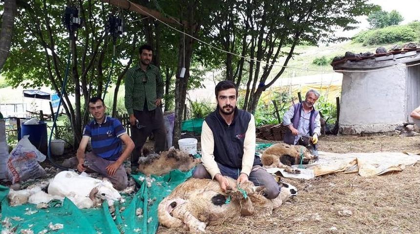 Ordu&rsquo;da Kurban Bayramı Hazırlıkları