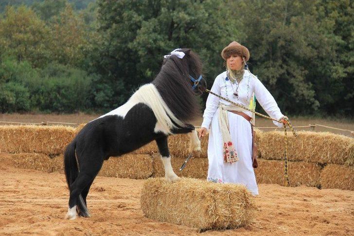 Polonezköy Tabiat Parkı, Gazi Ve Şehit Yakınlarını Ağırladı G4