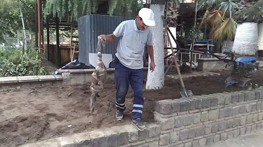 Kedi &Ouml;l&uuml;s&uuml;n&uuml; Bebek Cesedi Sandı, Ortalık Ayağa Kalktı