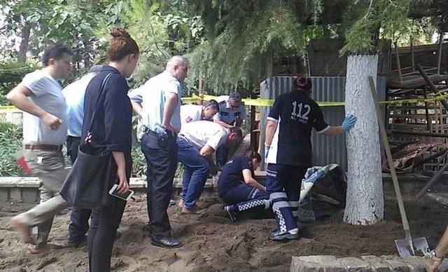 Kedi Ölüsünü Bebek Cesedi Sandı, Ortalık Ayağa Kalktı