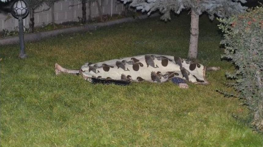 Kayseri&rsquo;de 8. Kattan D&uuml;şen Şahıs Hayatını Kaybetti