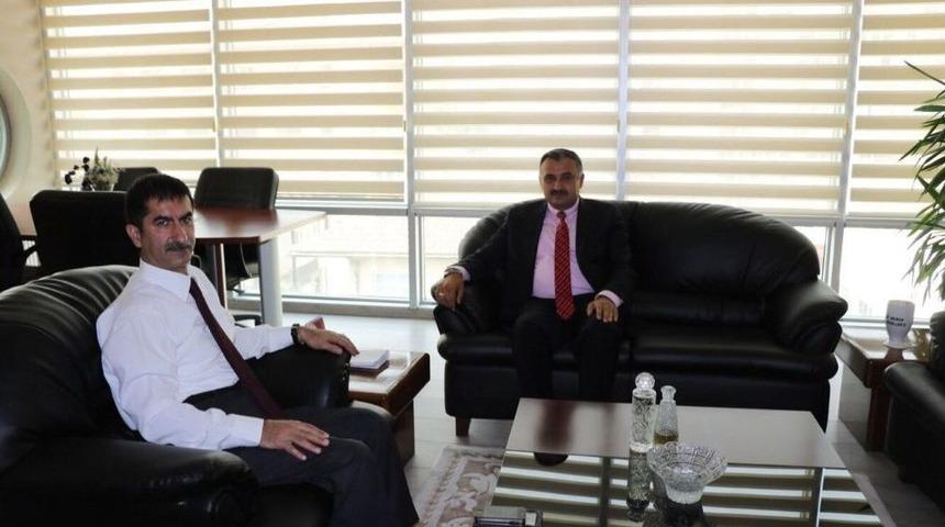 &Ccedil;amlık (gulu Gulu) Mesire Alana &Ccedil;evre D&uuml;zenlemesi Yapılacak