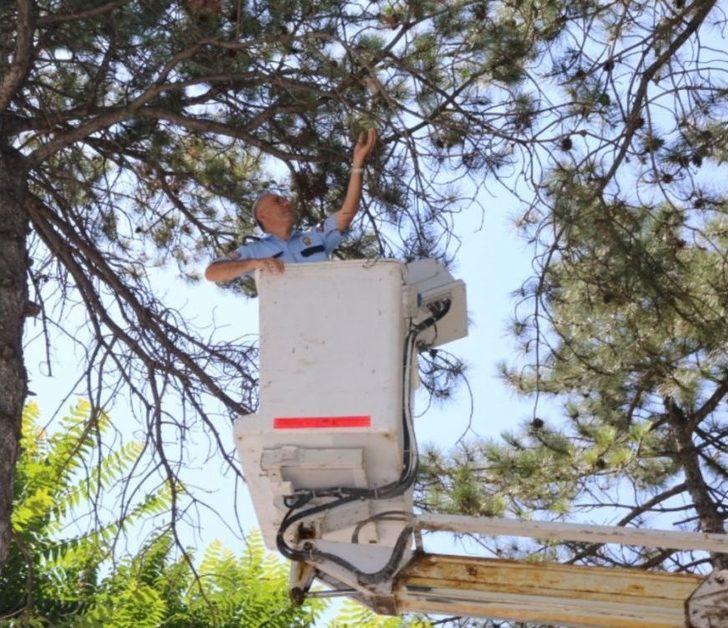 Yuvasından Düşen Yavru Kuşa Polis Şefkati G3