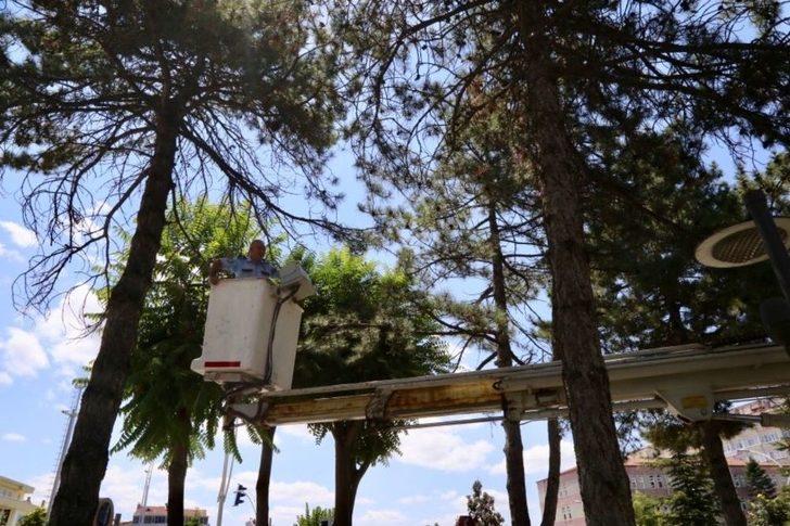 Yuvasından Düşen Yavru Kuşa Polis Şefkati G4