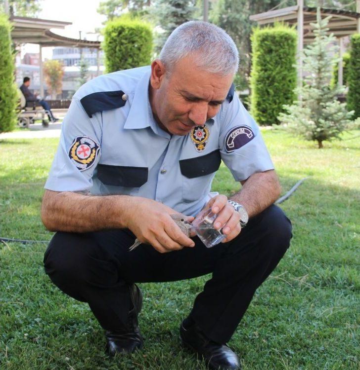 Yuvasından Düşen Yavru Kuşa Polis Şefkati G5