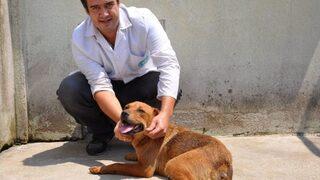 Hayvanseverleri Ayağa Kaldıran Şiddete 625 Lira Ceza