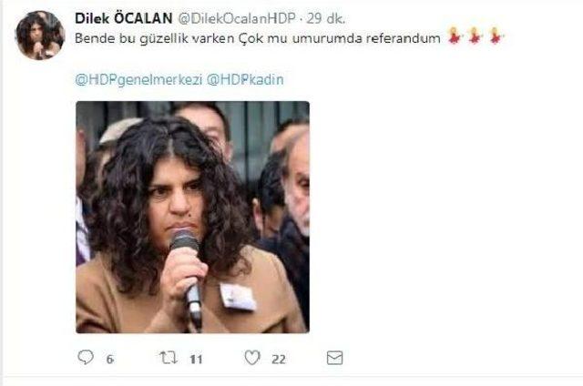 Hdp Milletvekili Dilek Öcalan'ın Twitter Hesabı Hacklendi