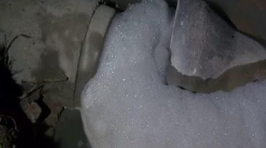 Validebağ korusu'nda k&ouml;p&uuml;k endişesi