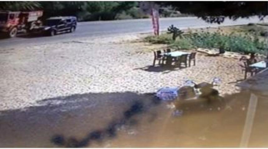 Orman İşçisinin Can Verdiği Feci Kaza Kamerada