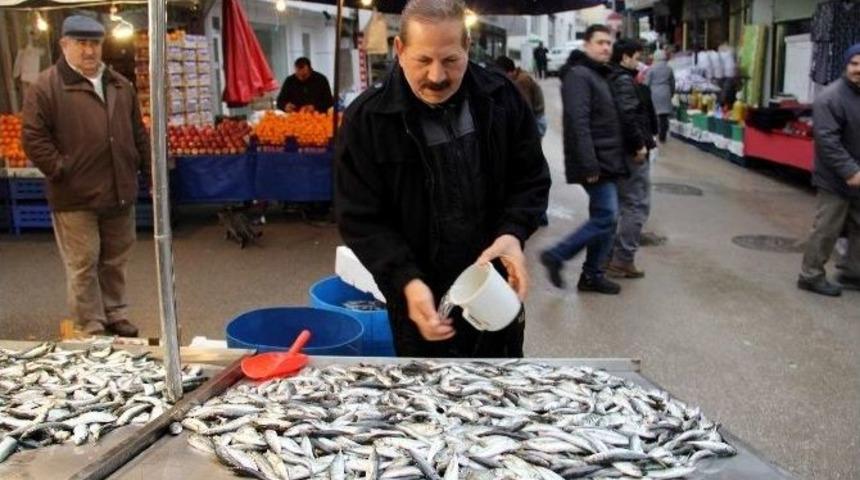 Kar Ve Fırtınaya Rağmen Balık Fiyatları Hala Ucuz