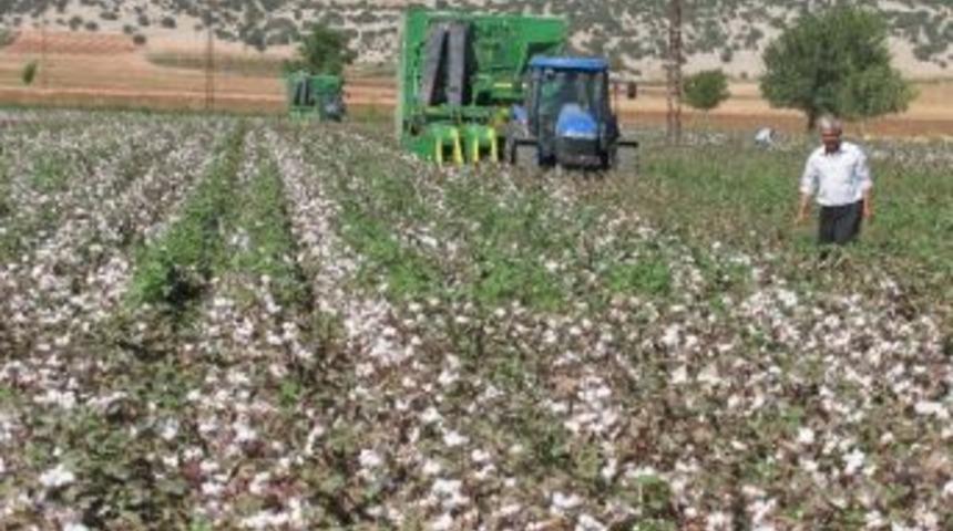 &Ccedil;ukobirlik, &Ccedil;ift&ccedil;iyi T&uuml;ccarın İnsafına Terketti