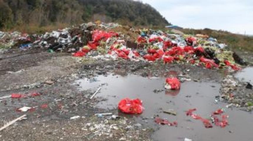 Zonguldak&rsquo;ta &Ccedil;evreyi Kirleten Firmalara 48 Milyon 391 Bin Lira Ceza