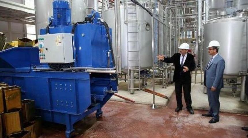 Avrupa'da Ilk Ve Tek Olan Bal Tesisi Test &Uuml;retimine Başladı