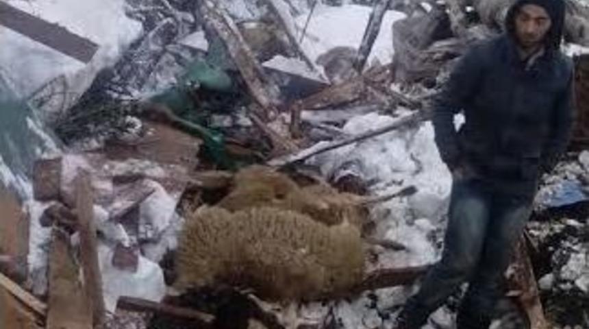 Orhaneli&rsquo;nde Dam &Ccedil;&ouml;kt&uuml;, 10 Koyun Telef Oldu