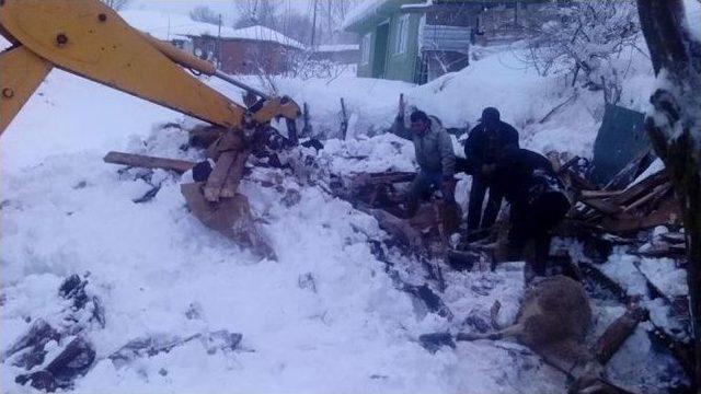 Orhaneli&rsquo;nde Dam &Ccedil;&ouml;kt&uuml;, 10 Koyun Telef Oldu 1