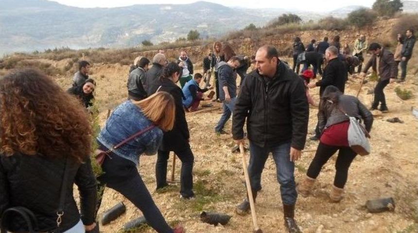 Mersin&rsquo;de Ağa&ccedil;landırma &Ccedil;alışmaları