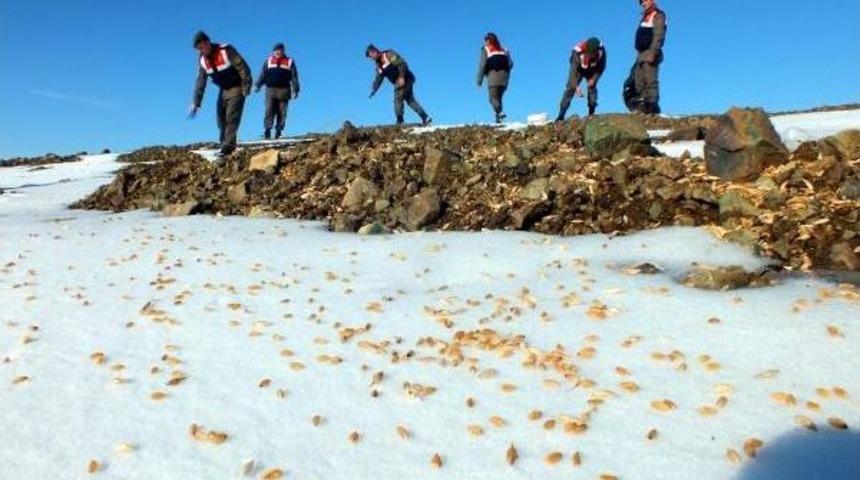Yozgat'ta Jandarmadan Yaban Hayatı I&ccedil;in Doğaya Yem
