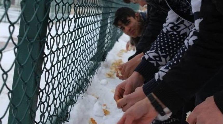 Gen&ccedil;lerden Sokak Hayvanları Ve Kuşlar İ&ccedil;in Duyarlı Davranış