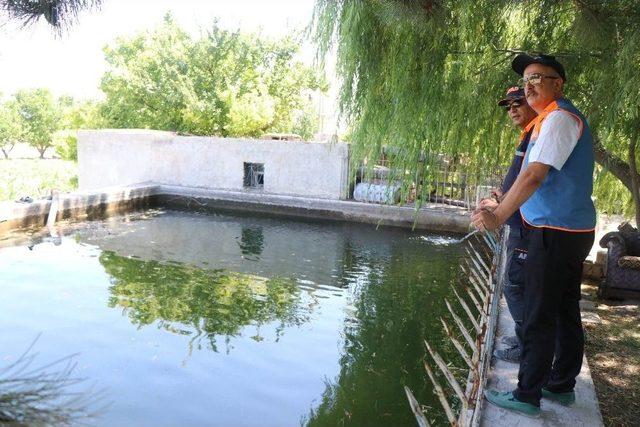 Serinlemek İçin Girdiği Sulama Havuzunda Boğuldu